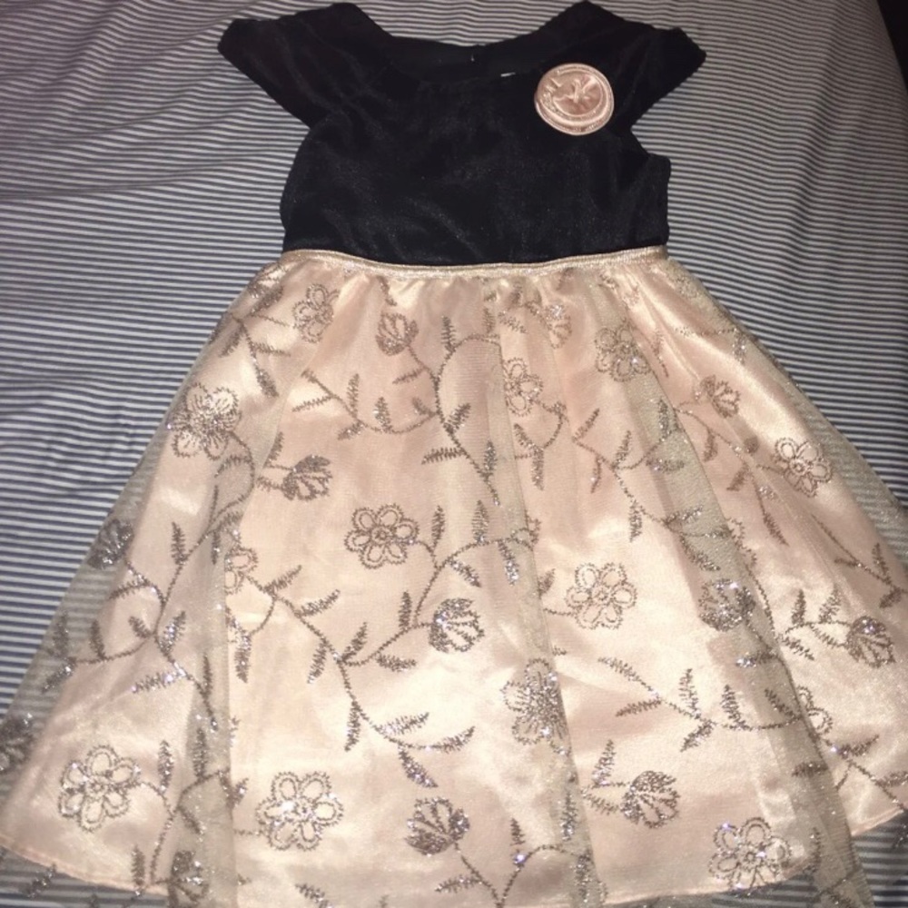 Special Occassion Girls Dress